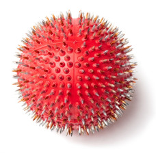 Lyapko Akupressur Ball 4,0 mm