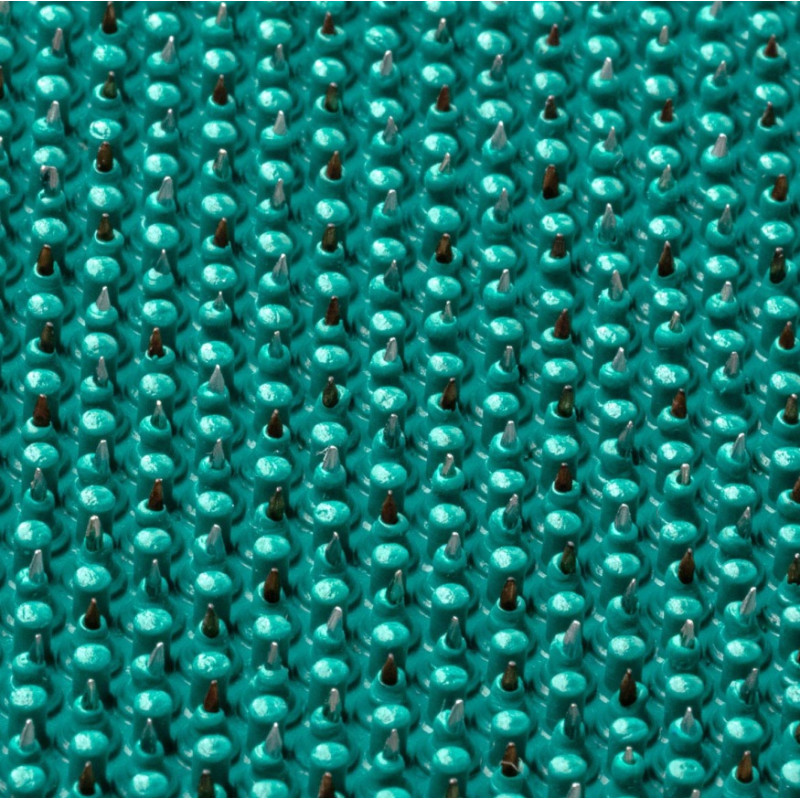 Acupressure mat Lyapko Insoles plus 37-40 r. 5.0 Ag